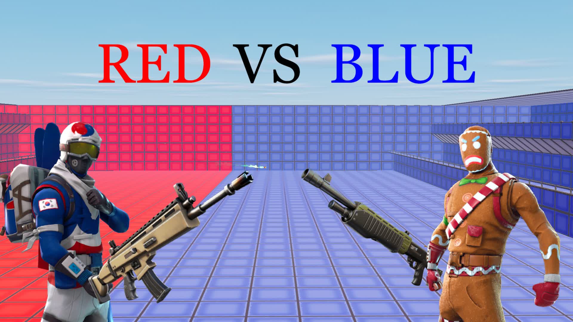 🔴RED VS BLUE🔵