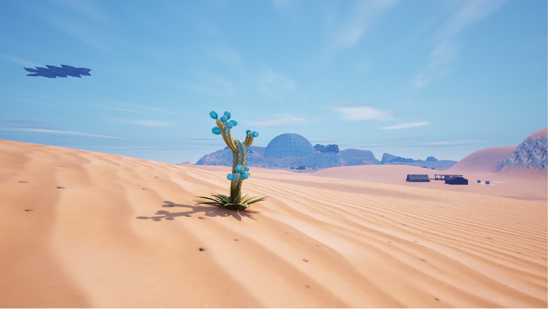 Terra