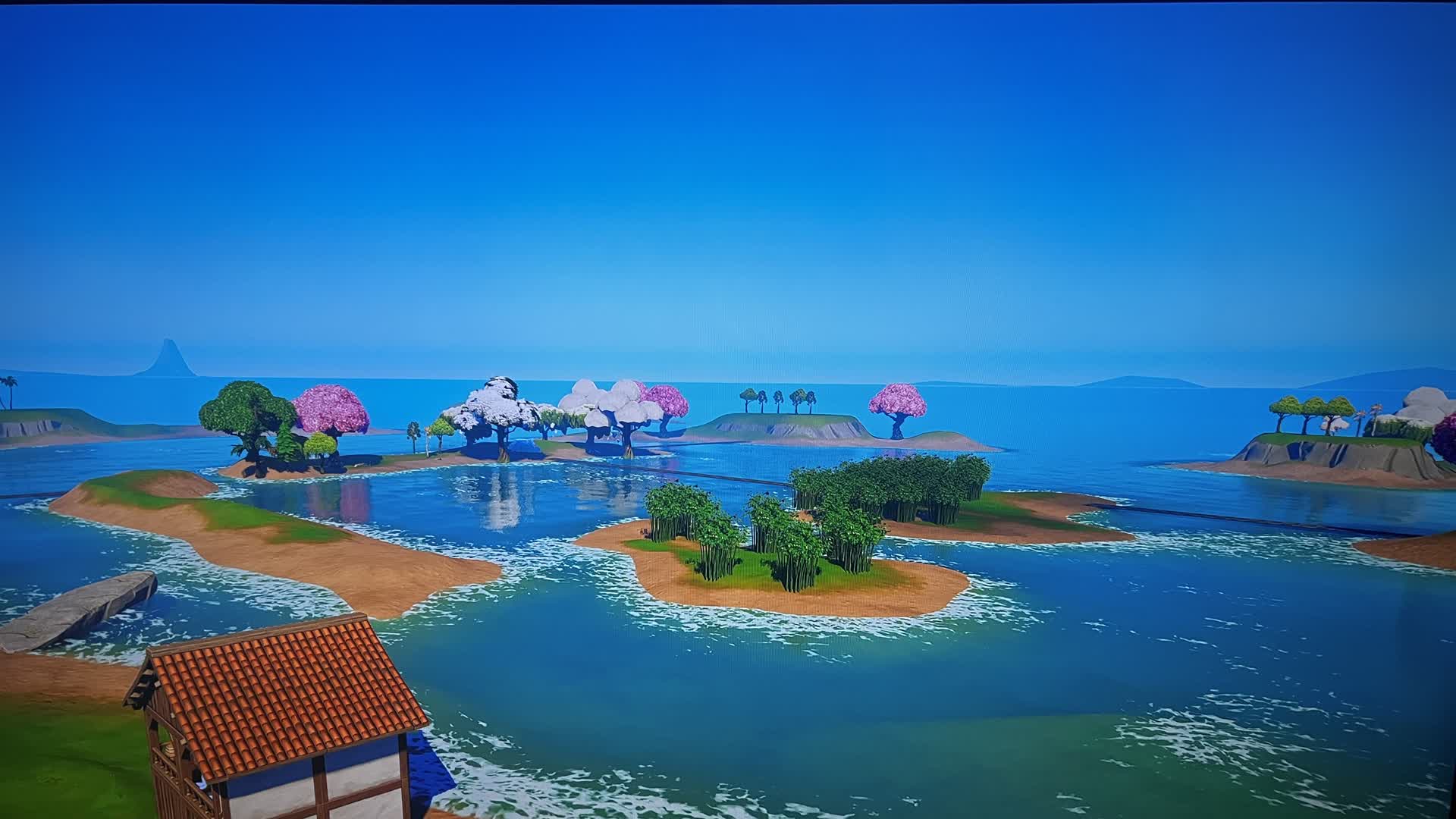 Safari beach
