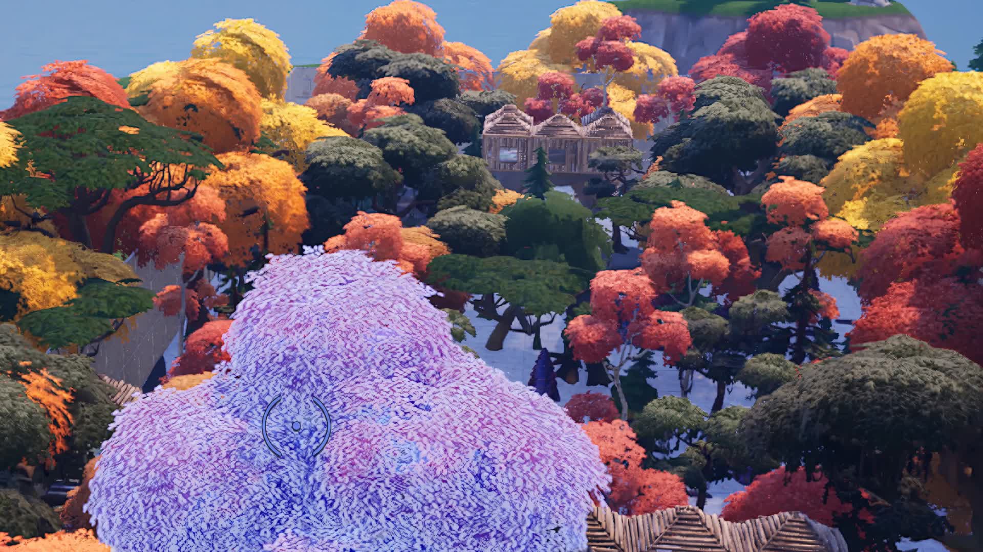 FOREST MAYHEM!