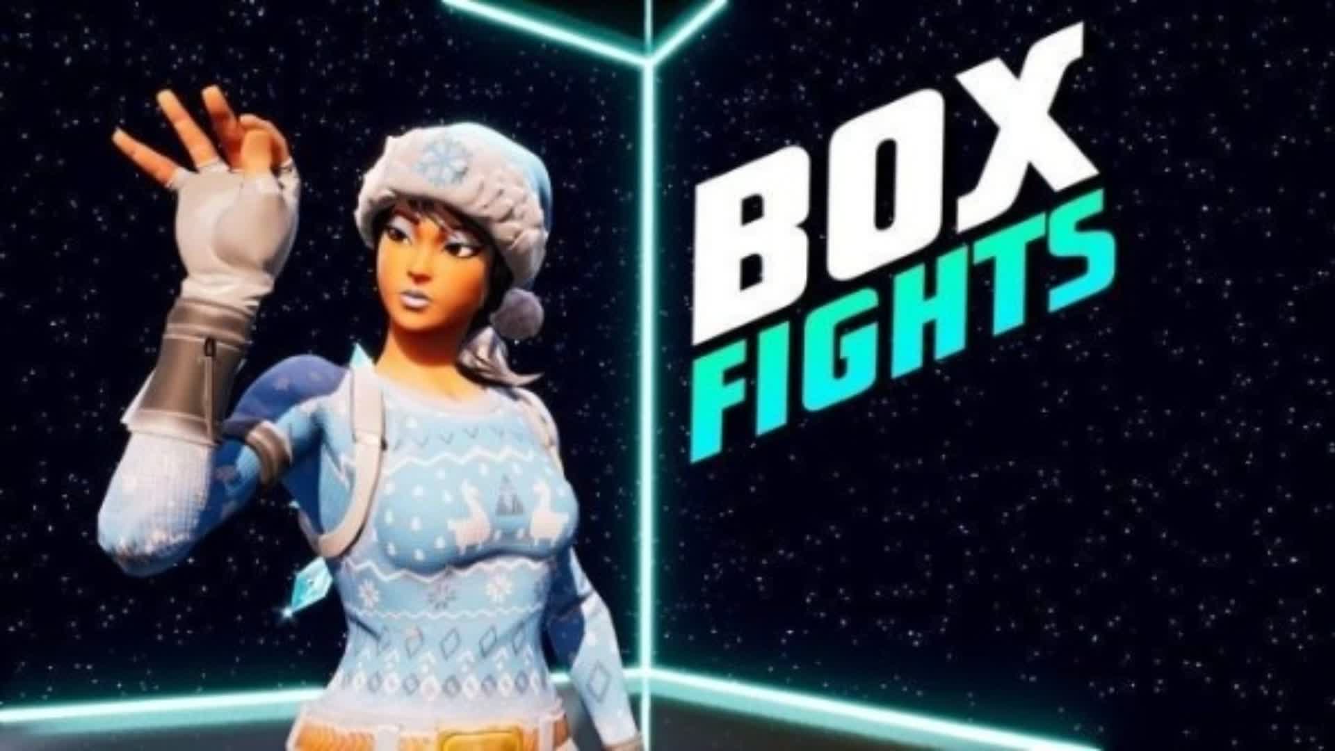Hectic Box Fights