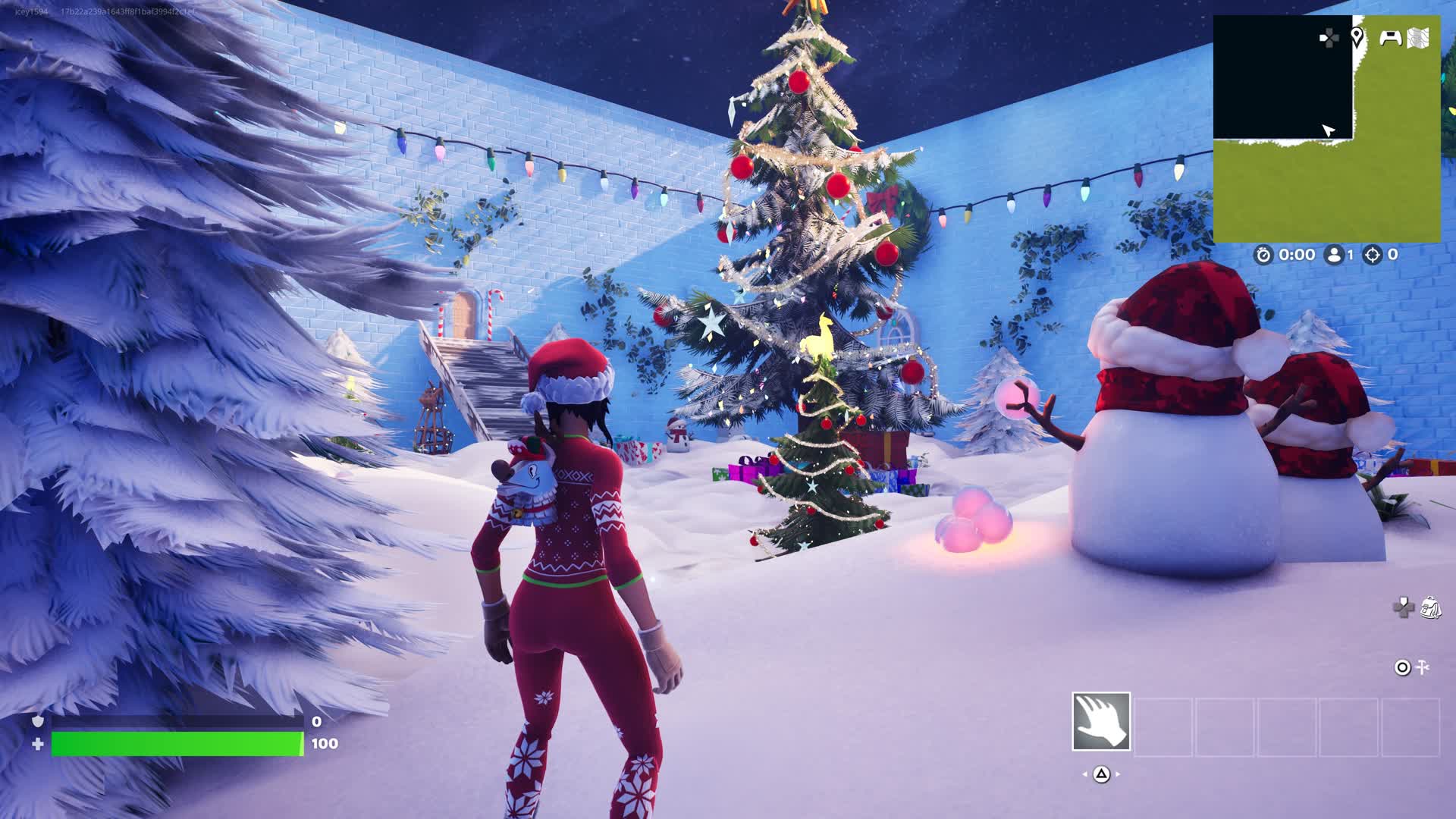 IGS Christmas