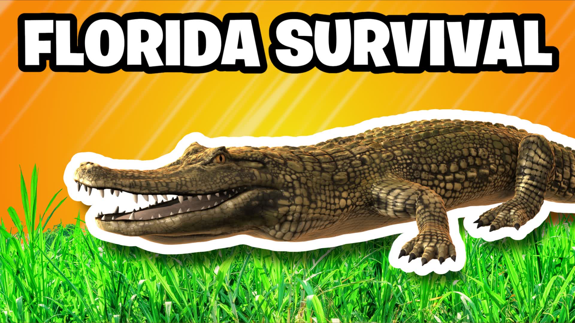 FLORIDA SURVIVAL 🐊🌴