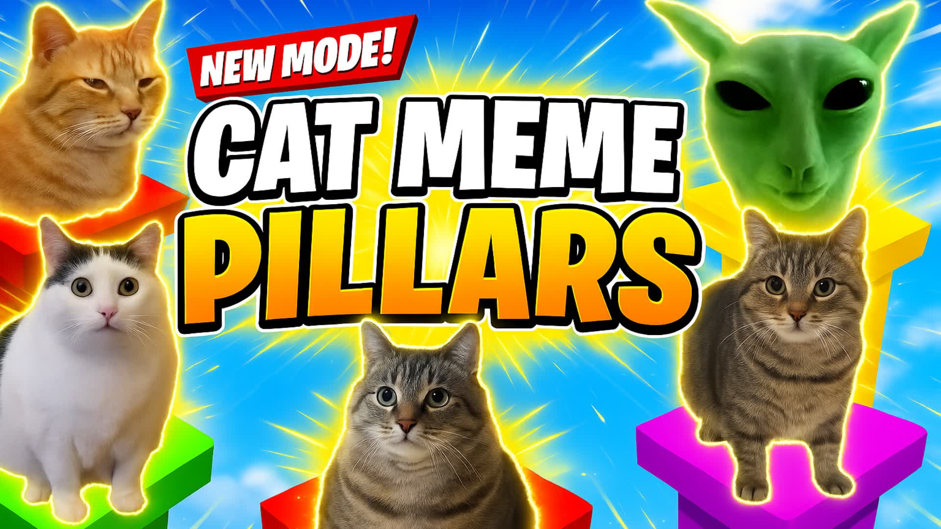 CAT MEME PILLARS! 😸