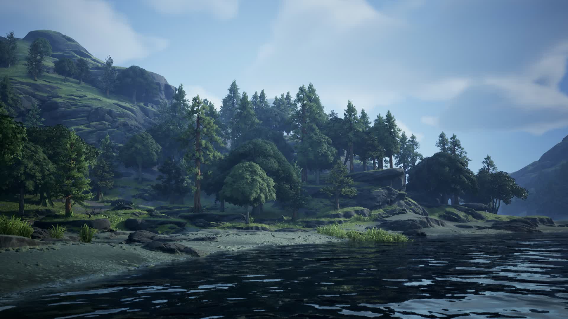 Beach Environment