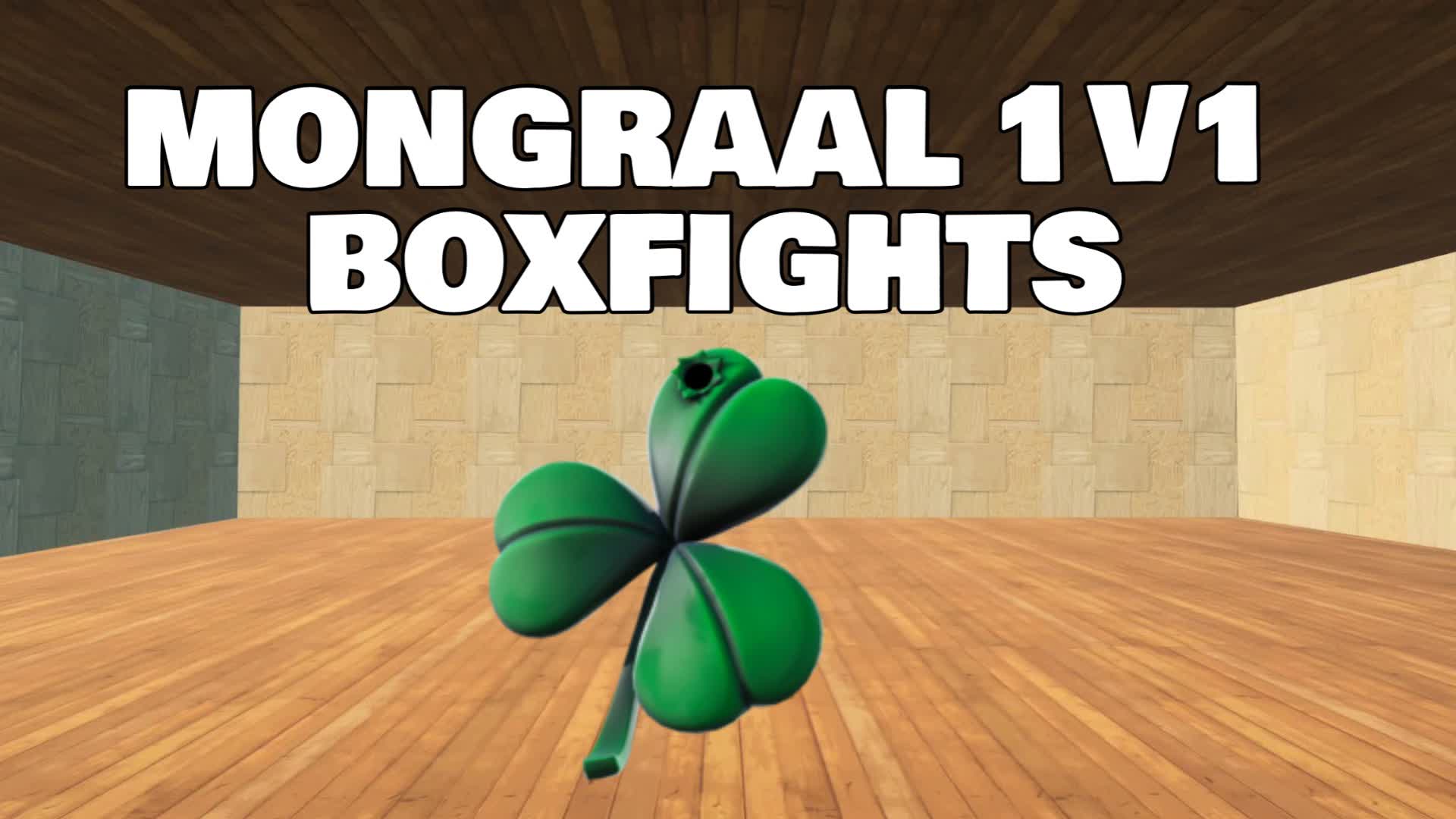MONGRAAL 1V1 BOXFIGHTS