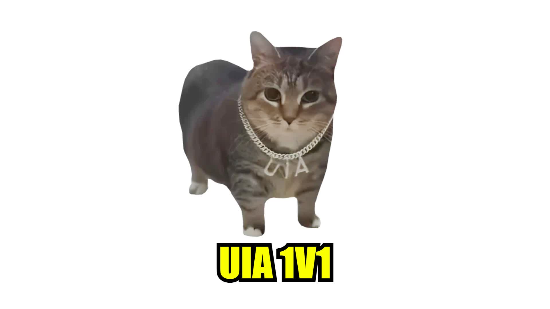 UIA CAT 1V1