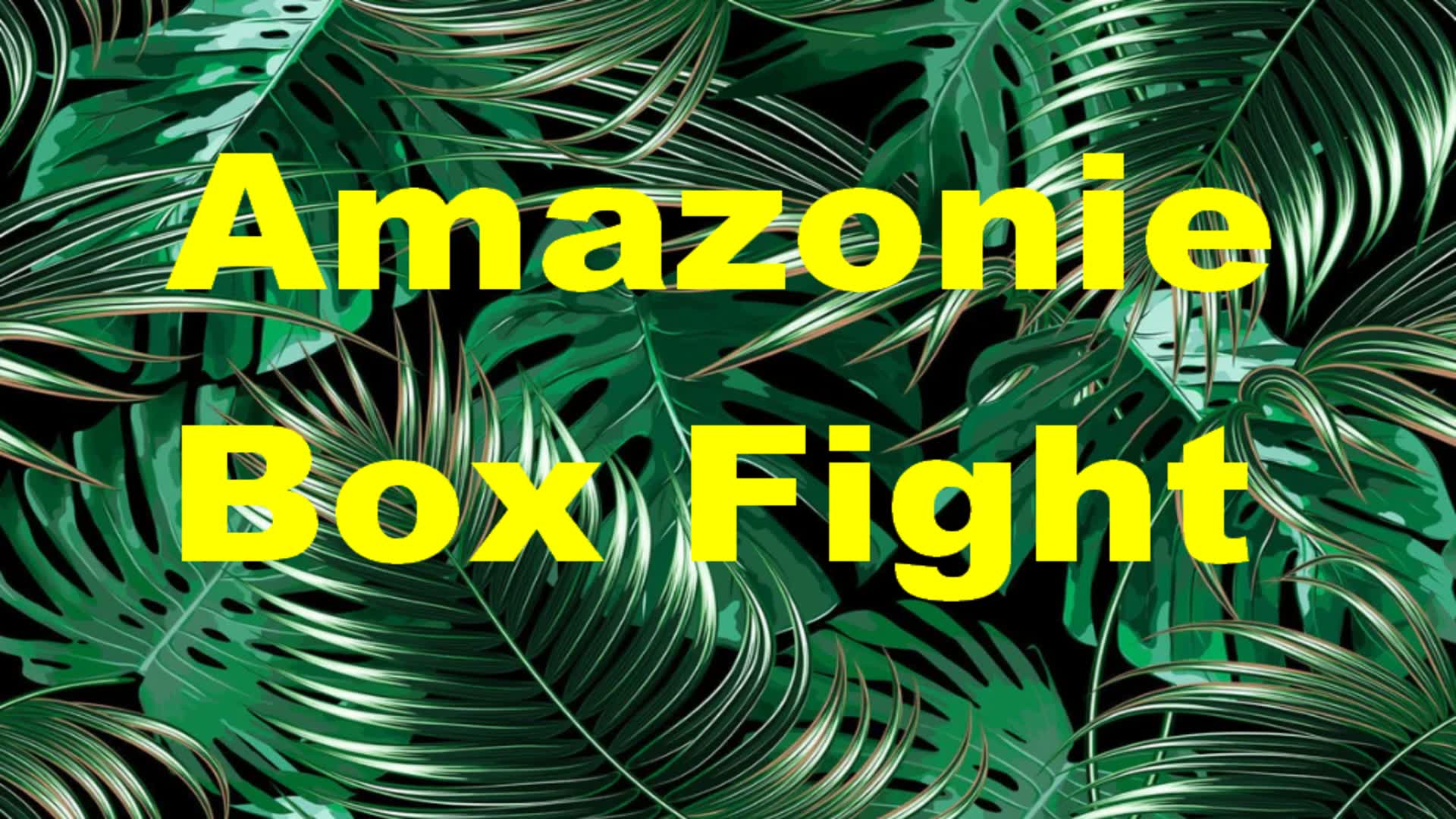 Amazonie Box Fight