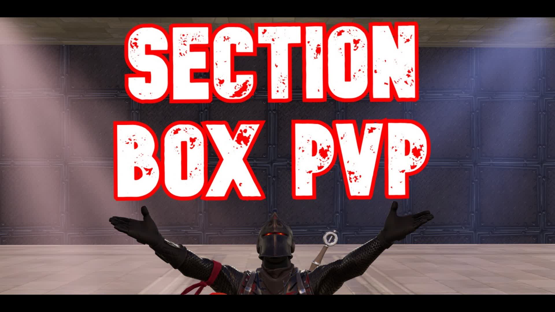SECTION BOX PVP