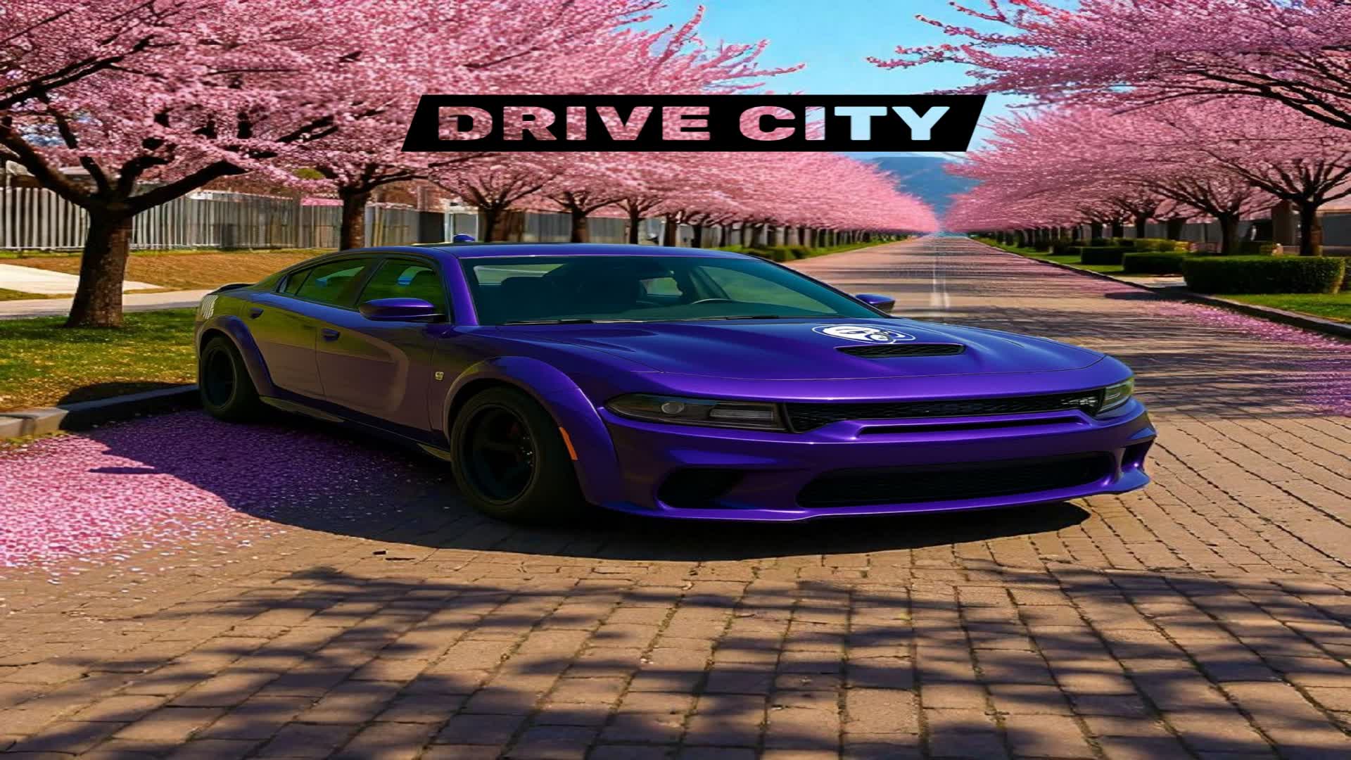 DRIVE CITY RP 💯💯