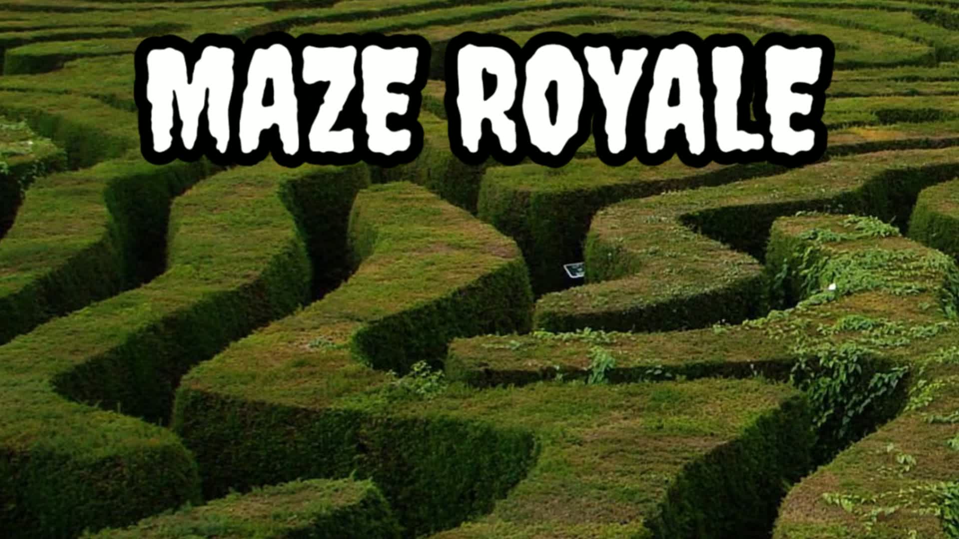 Maze Royale