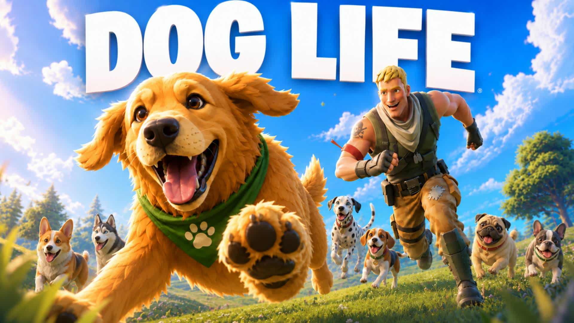 DOG LIFE