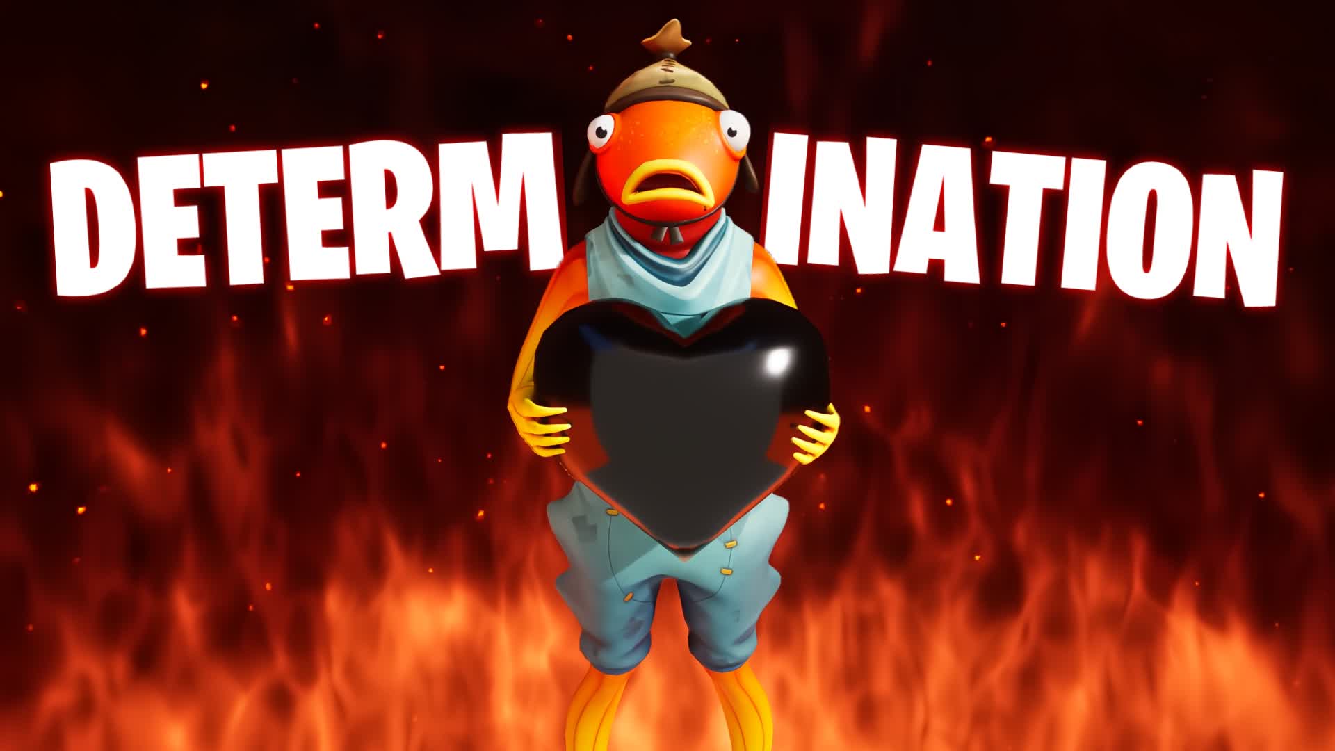 DETERMINATION