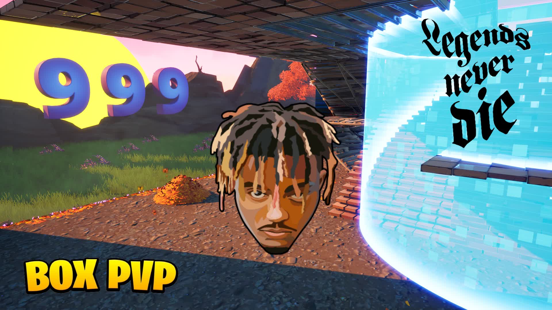 🌎 Juice WRLD [Box Fight] 🌎