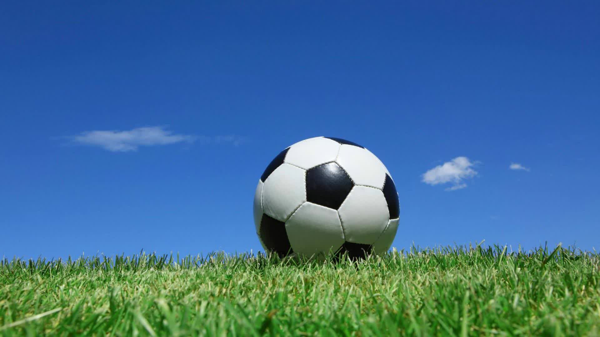 ⚽ Soccer Stadium *ALPHA*⚽