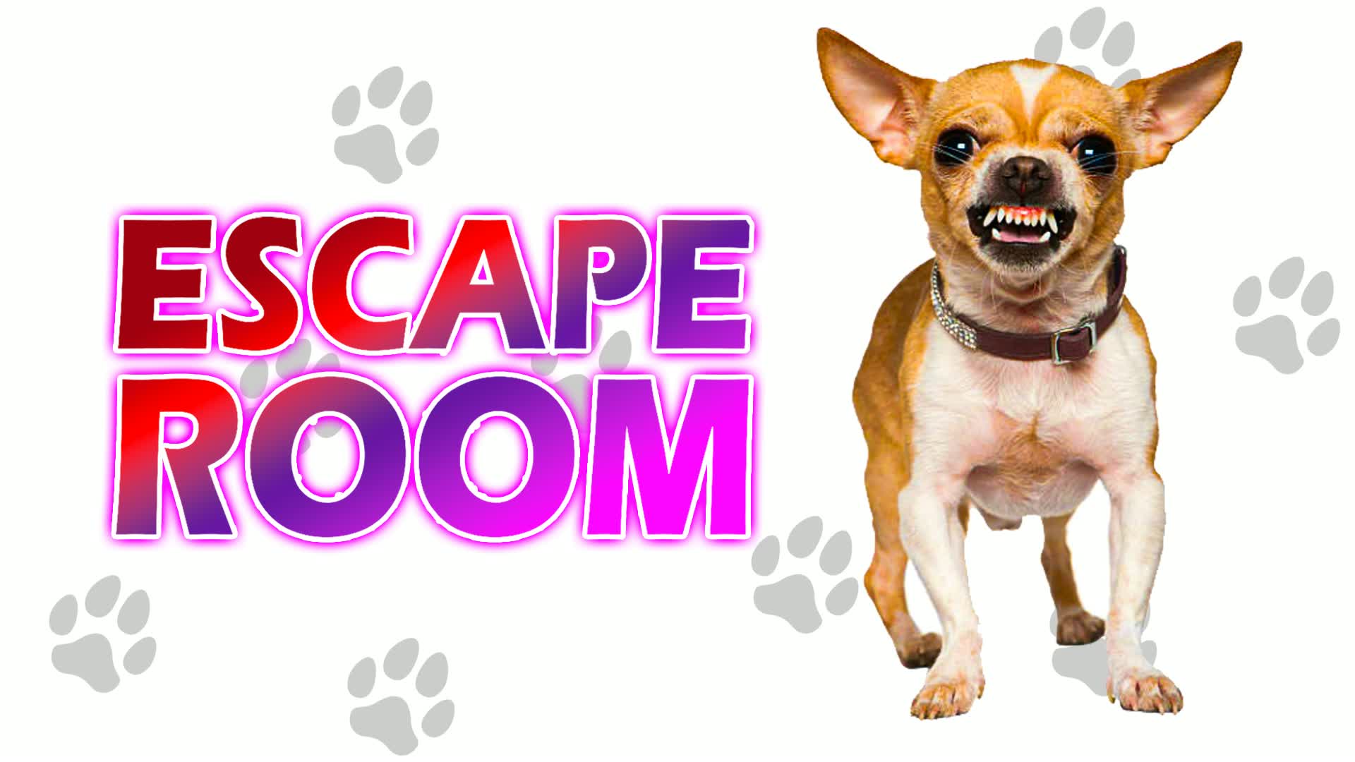 🔑 Angry Dog IQ Escape Room 🔑