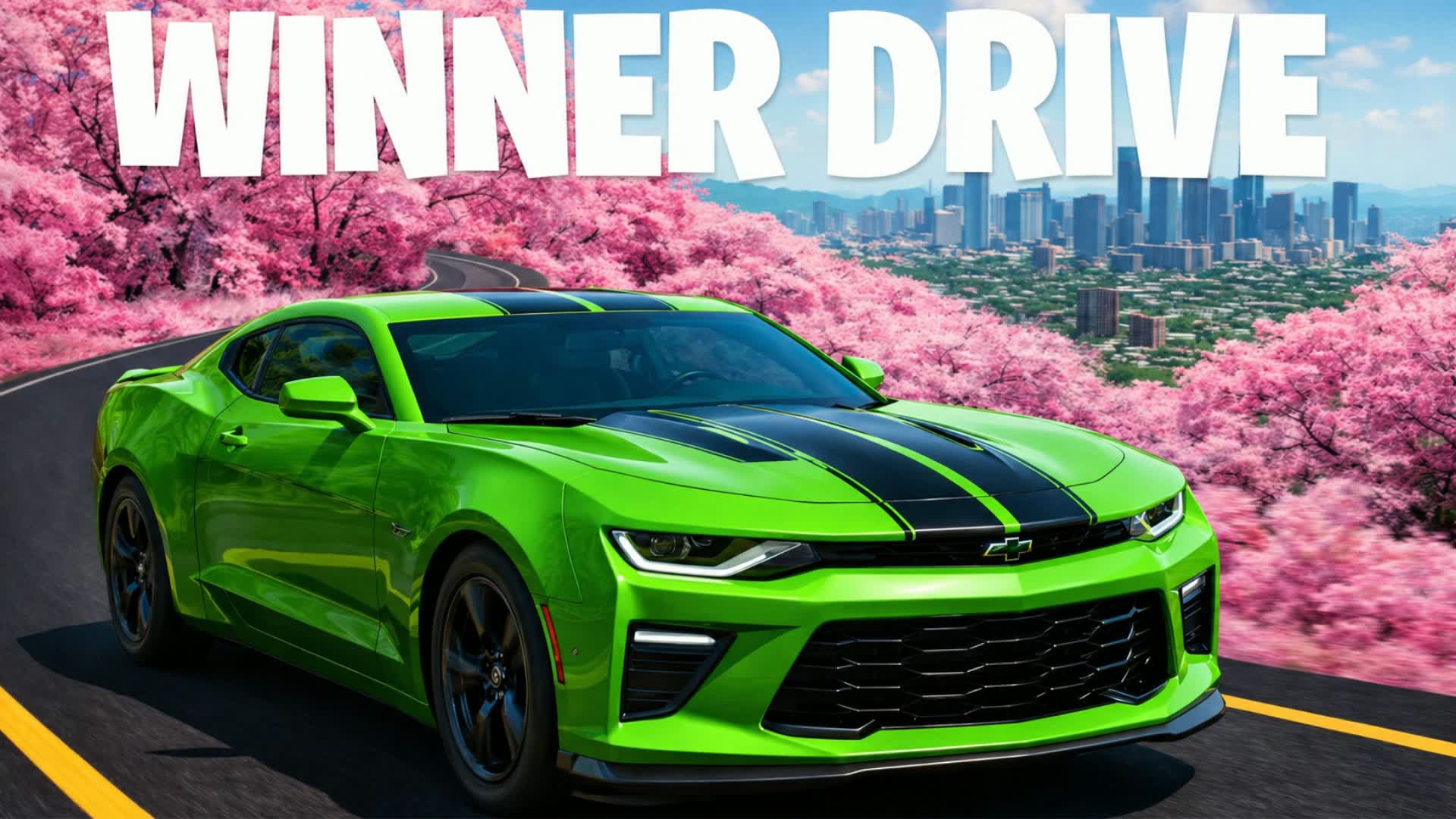 WINNER DRIVE