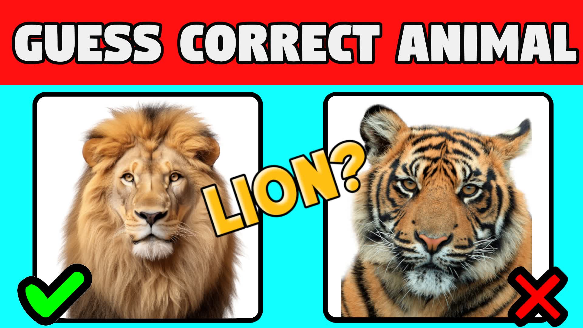GUESS THE ANIMAL 🦁
