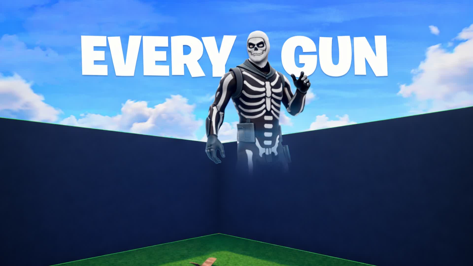 1V1 EVERY GUN