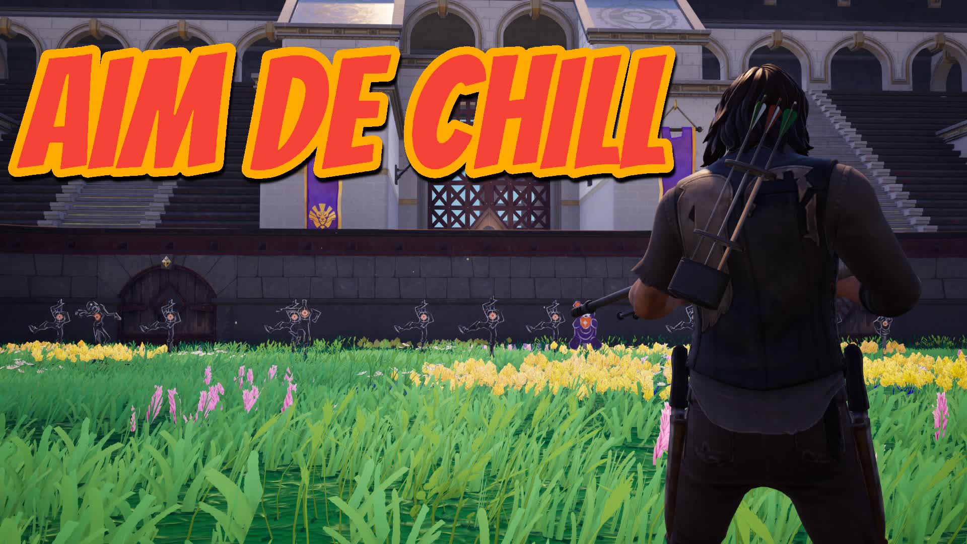 AIM DE CHILL