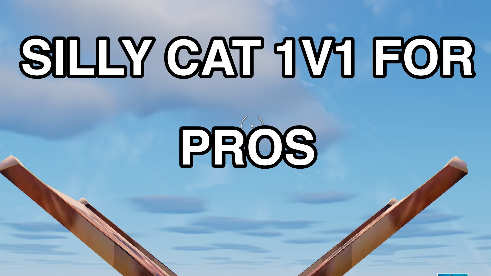 SILLY CAT 1V1 FOR PROS