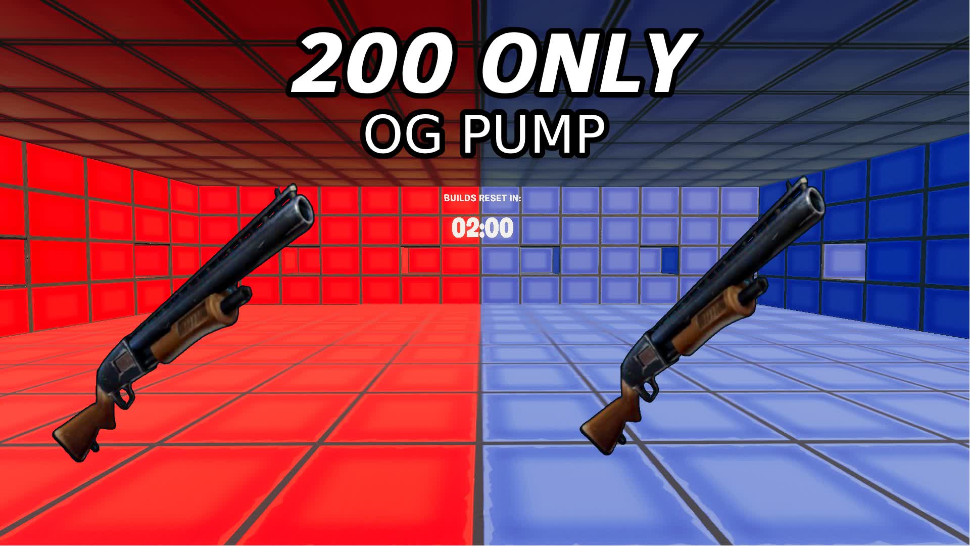 RED AND BLUE 200 PUMP ONLY