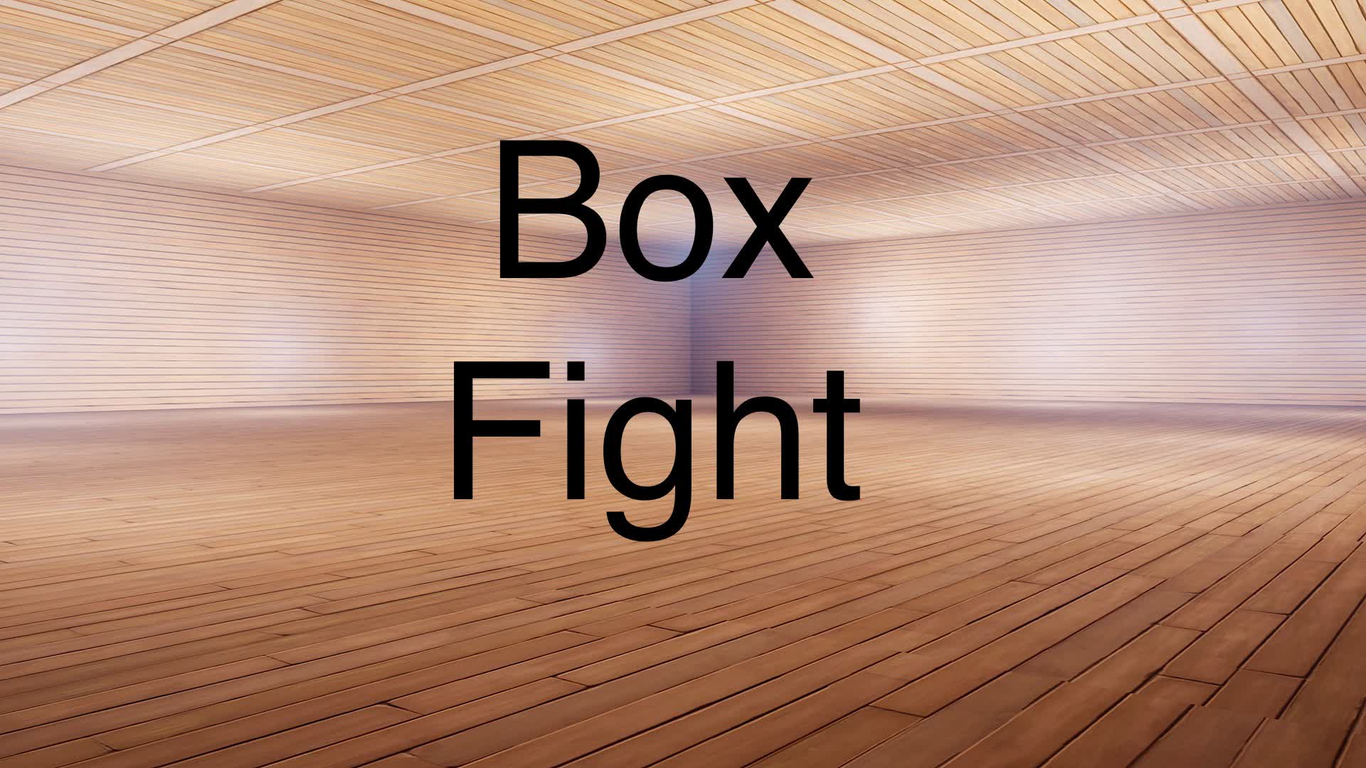 BOX FIGHT