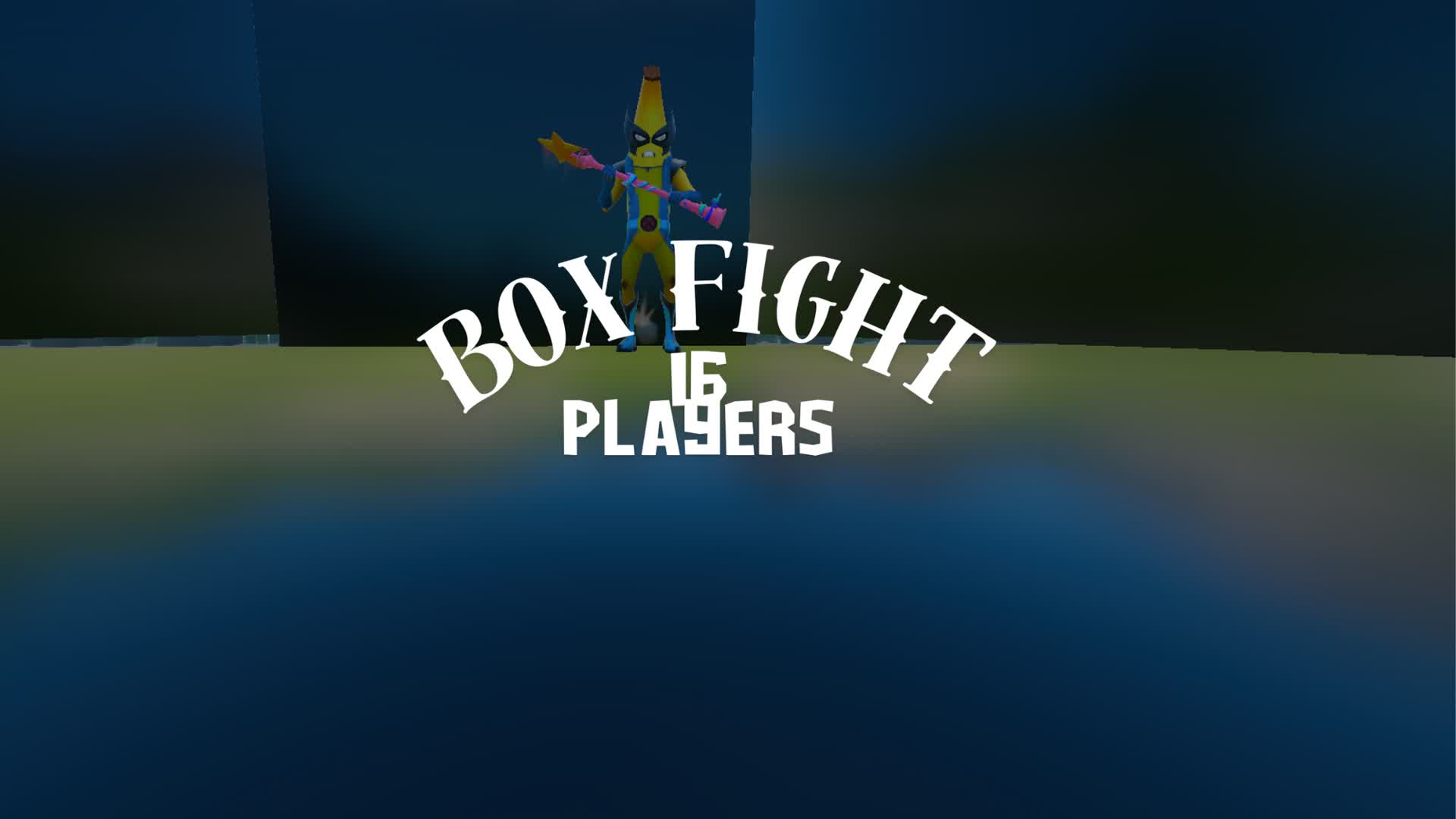 Box Fight - 16 Players