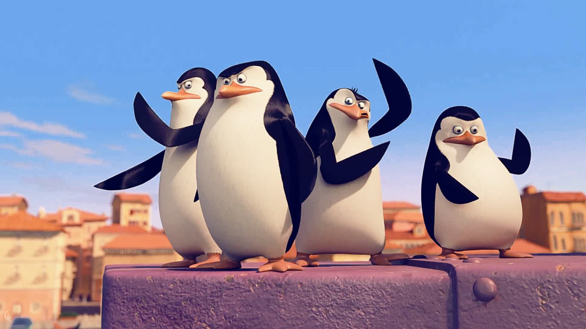 THE PENGUINS 🐧