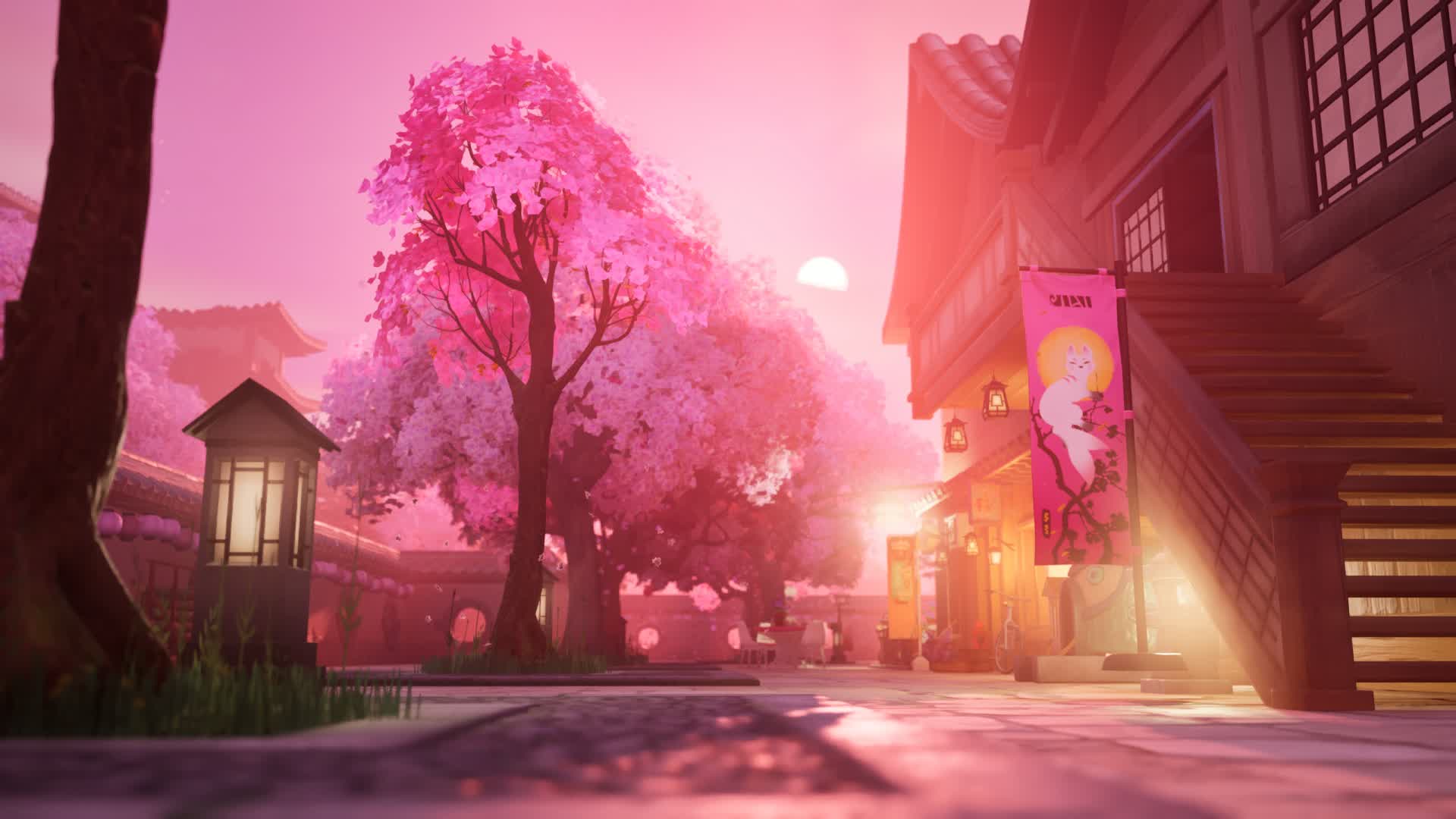 Cherry Blossom Reverie