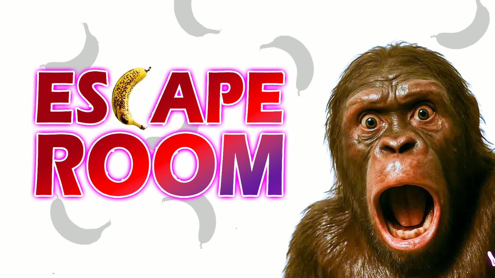 👑 Monkey IQ Escape Room 👑