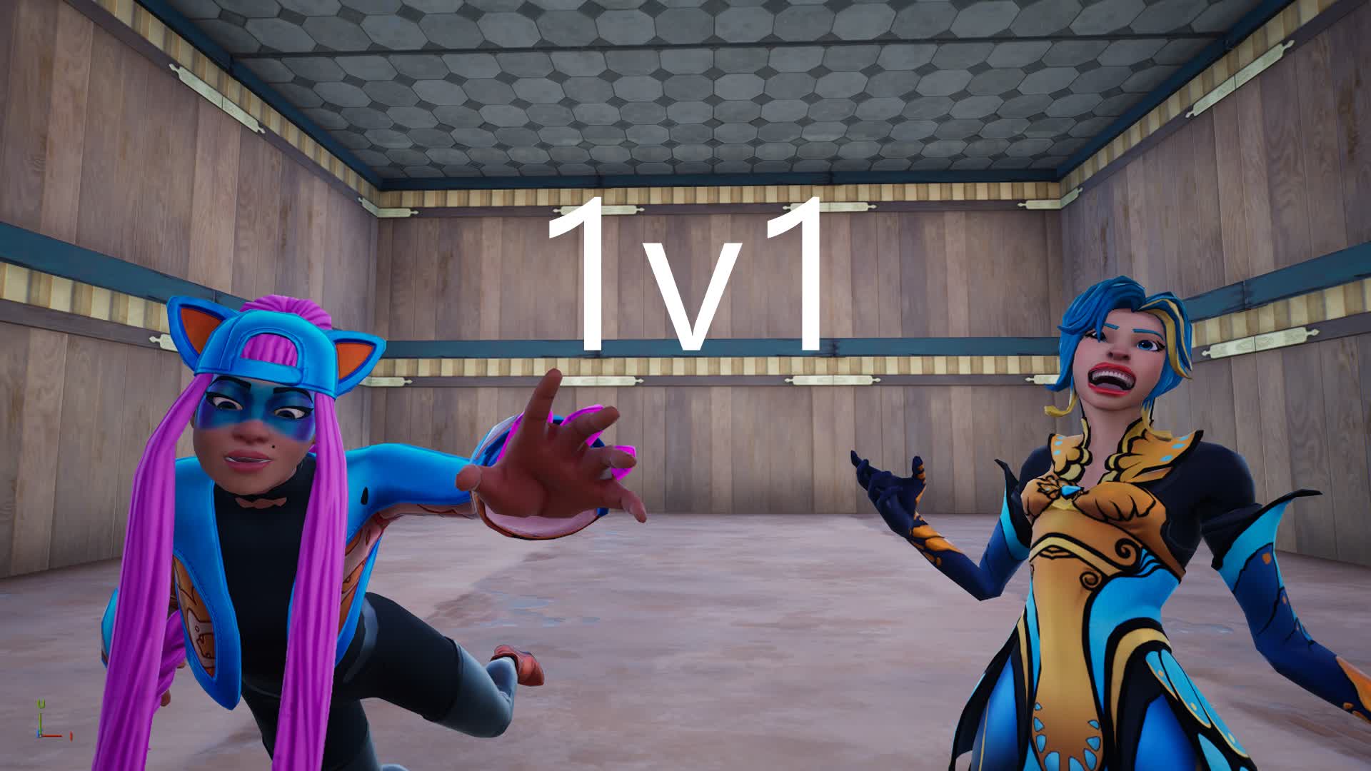 1V1 BOX FIGHT