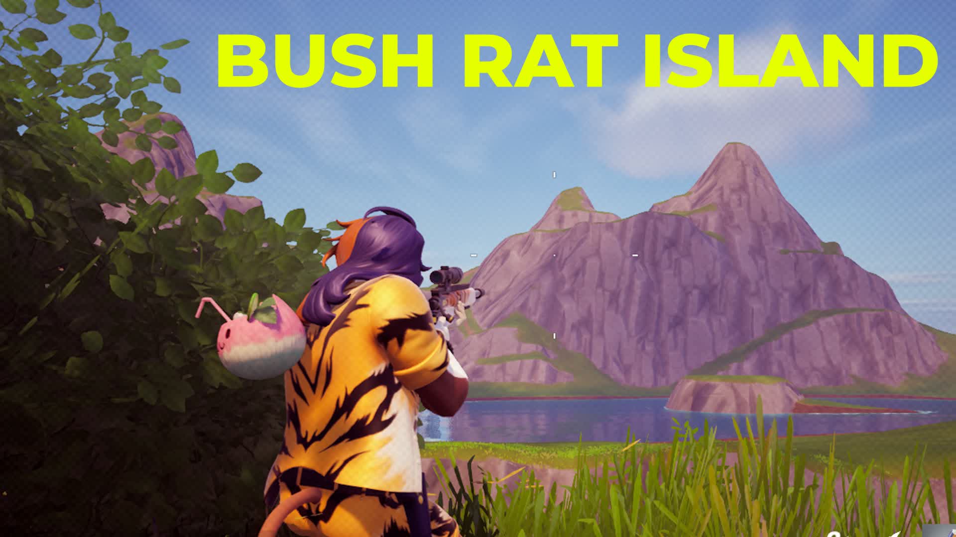 Bush Rat Island