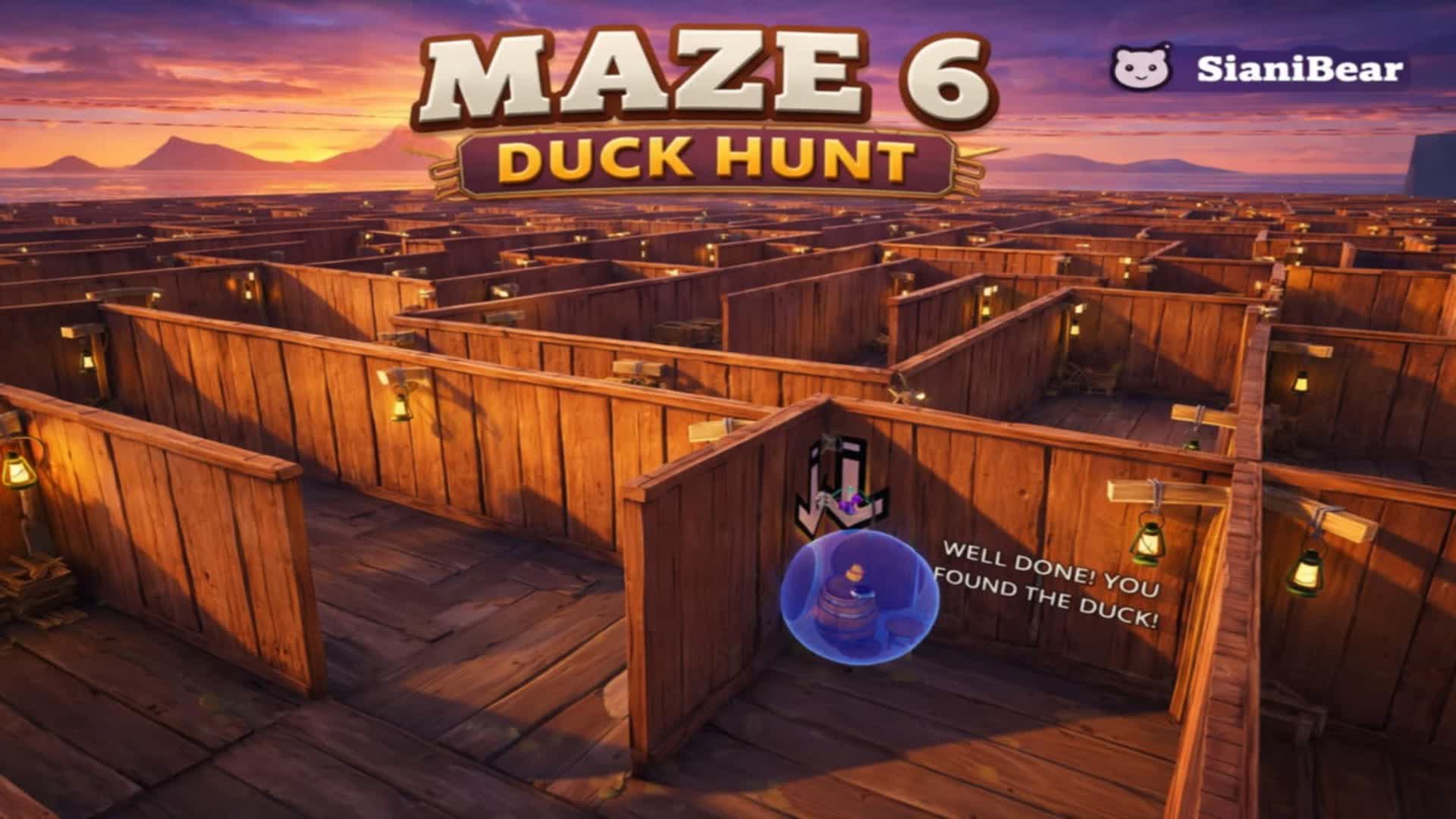 Maze 6 - Duck Hunt