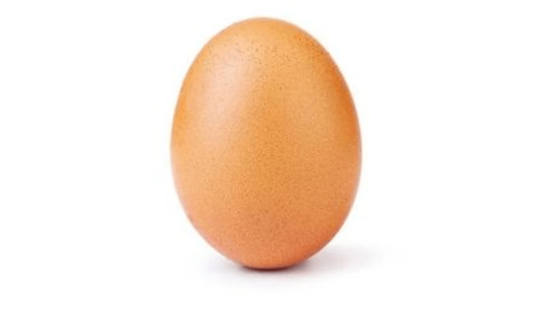 🥚Guinness World Record Egg 🥚