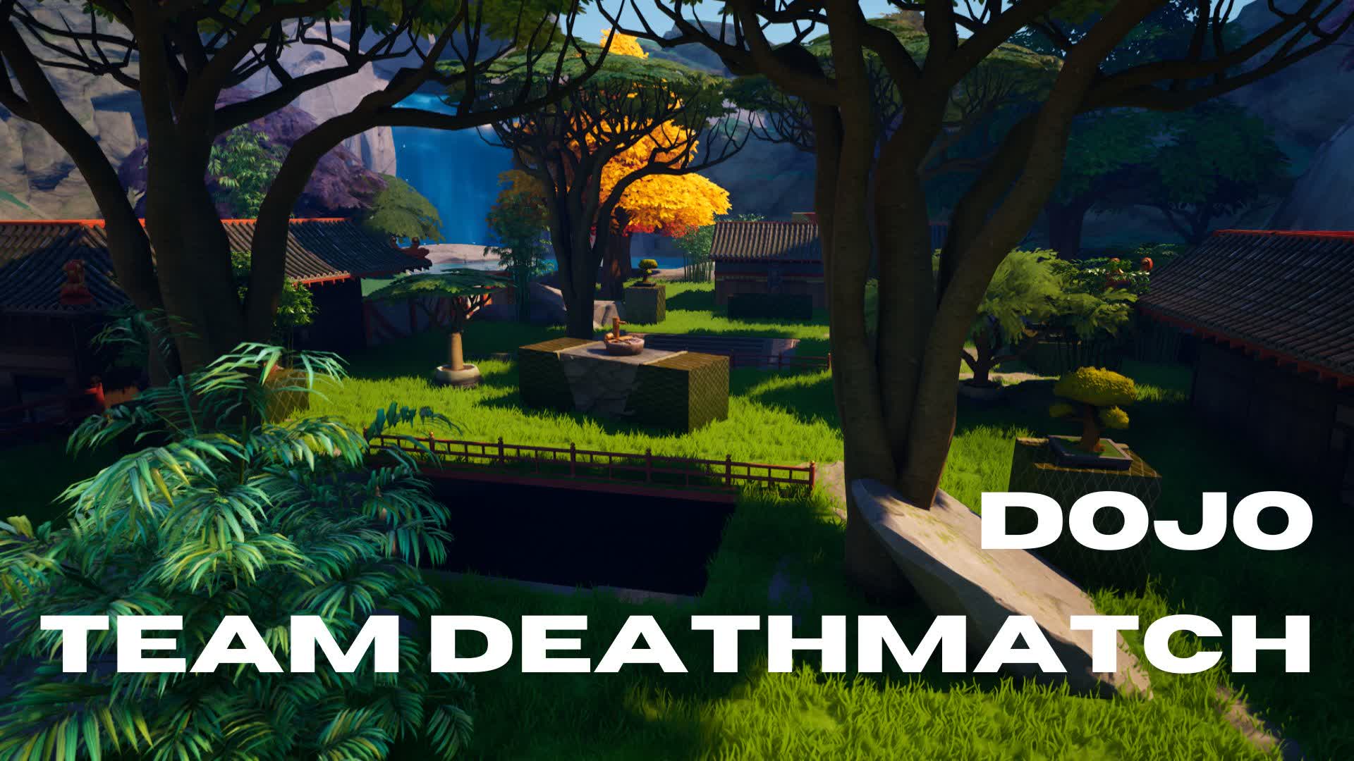 TDM DOJO