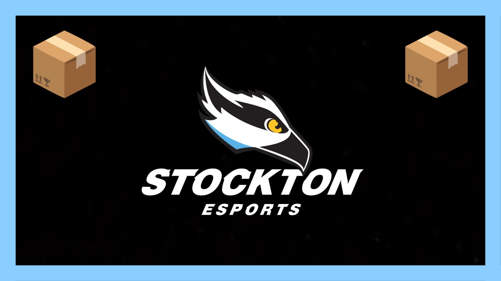 📦Stockton Esports BoxFights📦