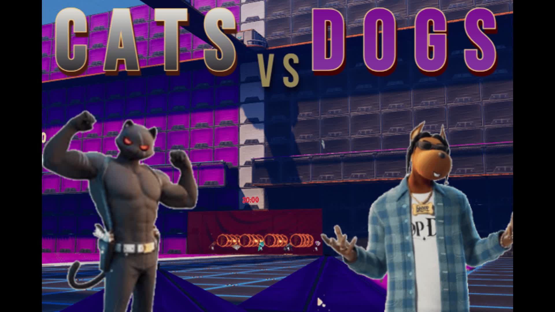 Cats Vs Dogs TDM