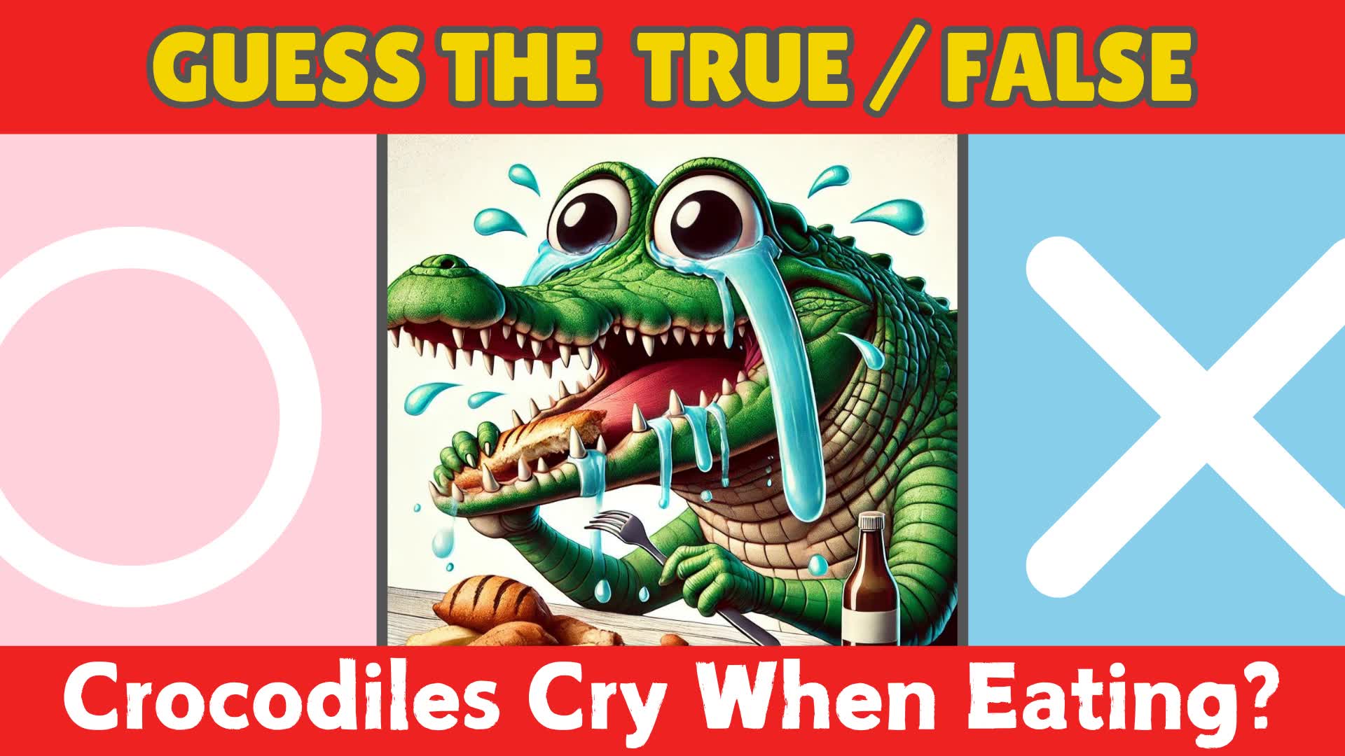 Guess the True/False ✅️