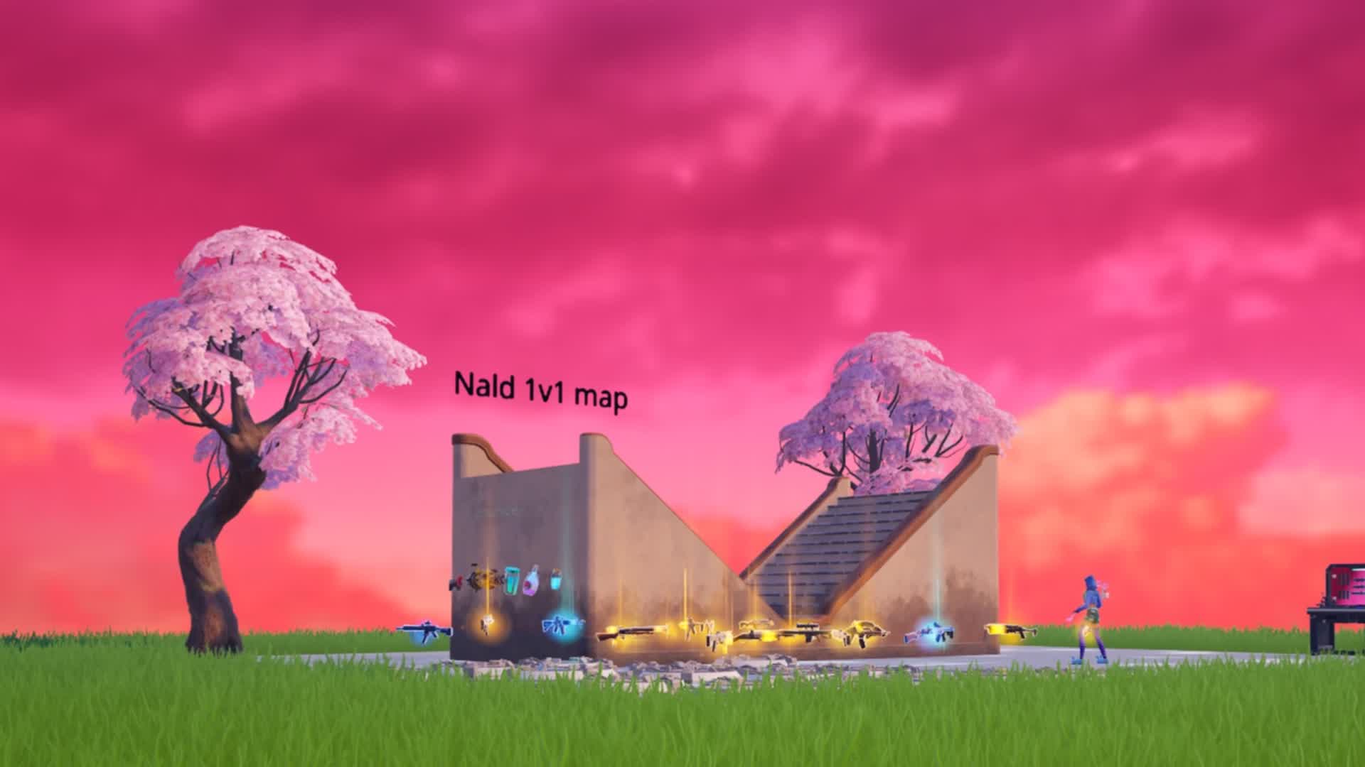 NaLd 1v1