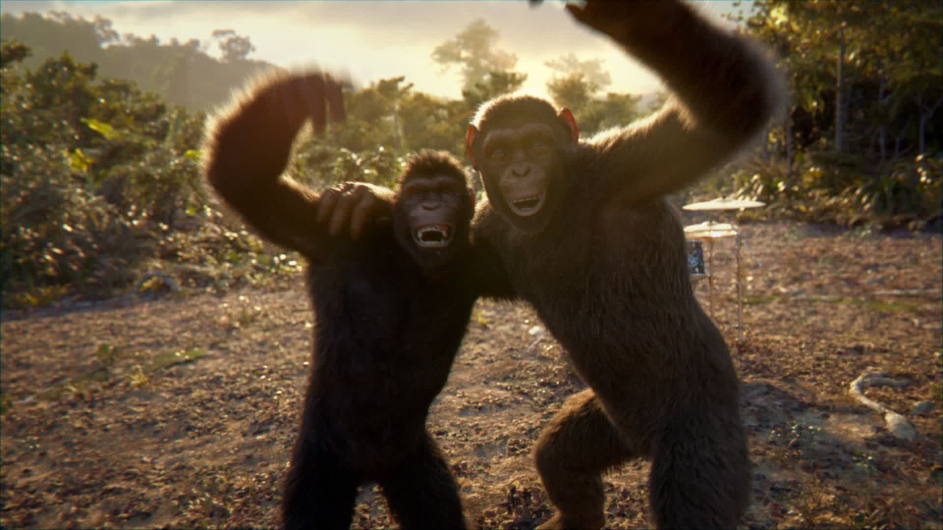 MONKEYY ZONEWARS