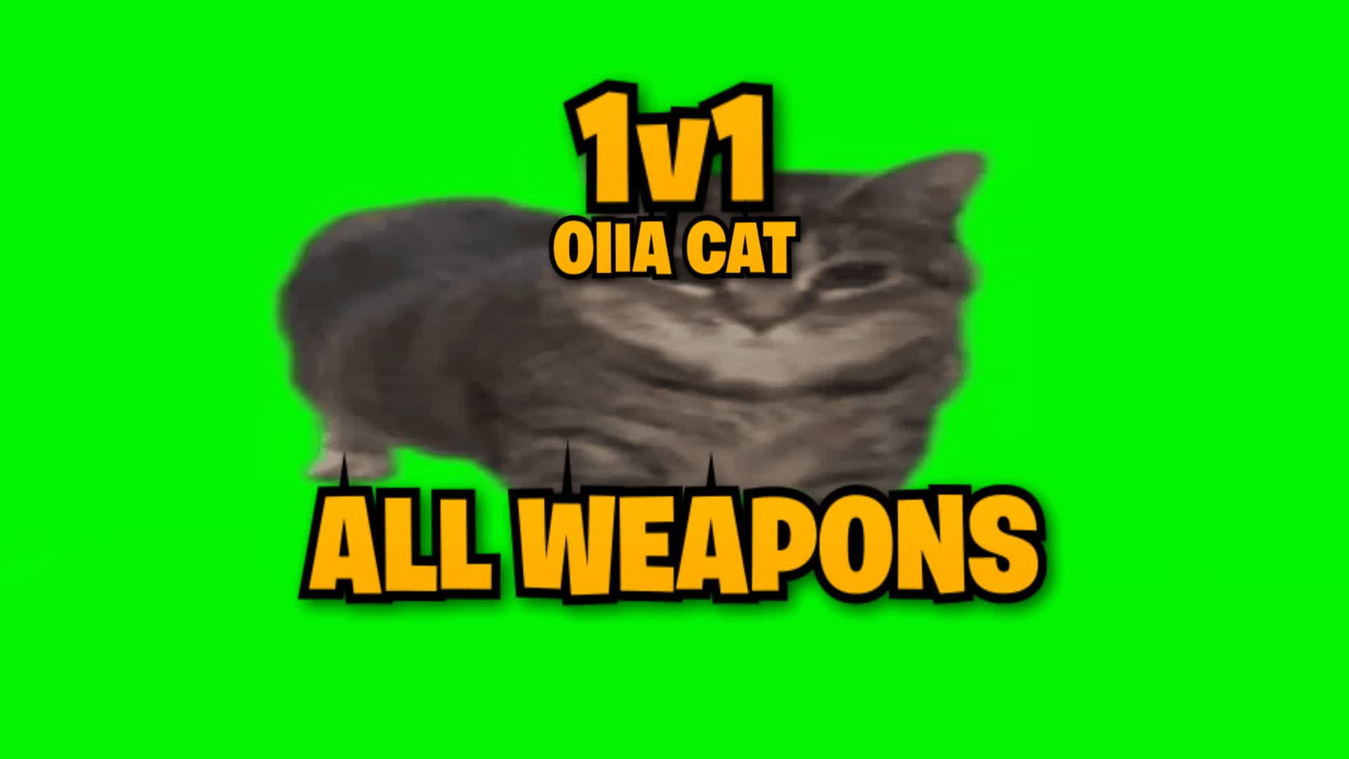 OIIA CAT 1v1 - UPDATED
