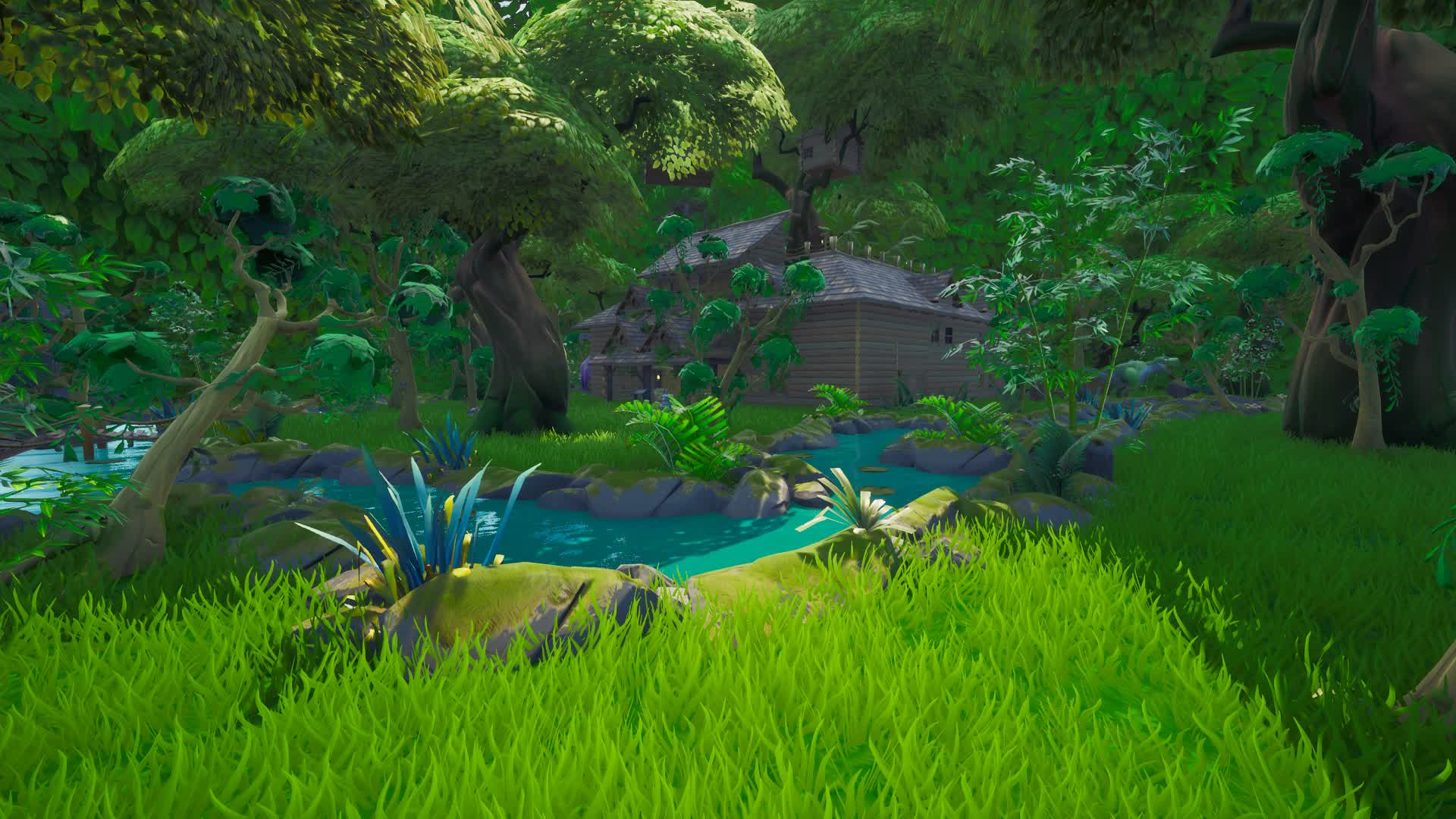 the jungle pit FFA