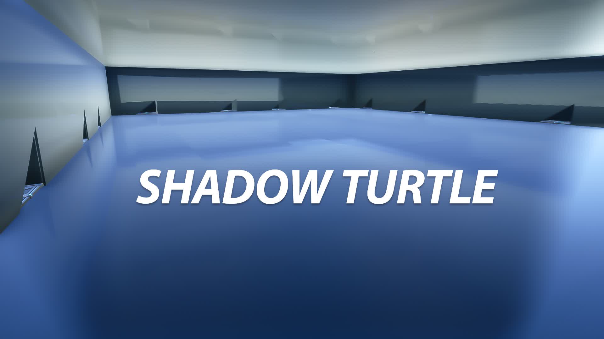 SHADOW TURTLE