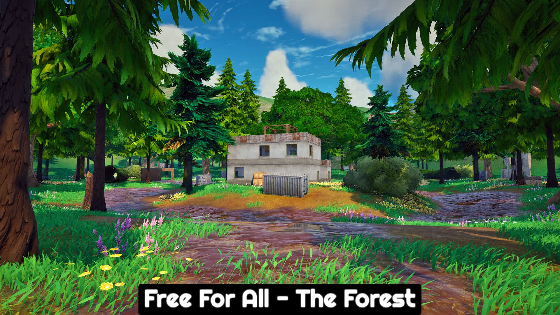 The Forest Free For All🌲