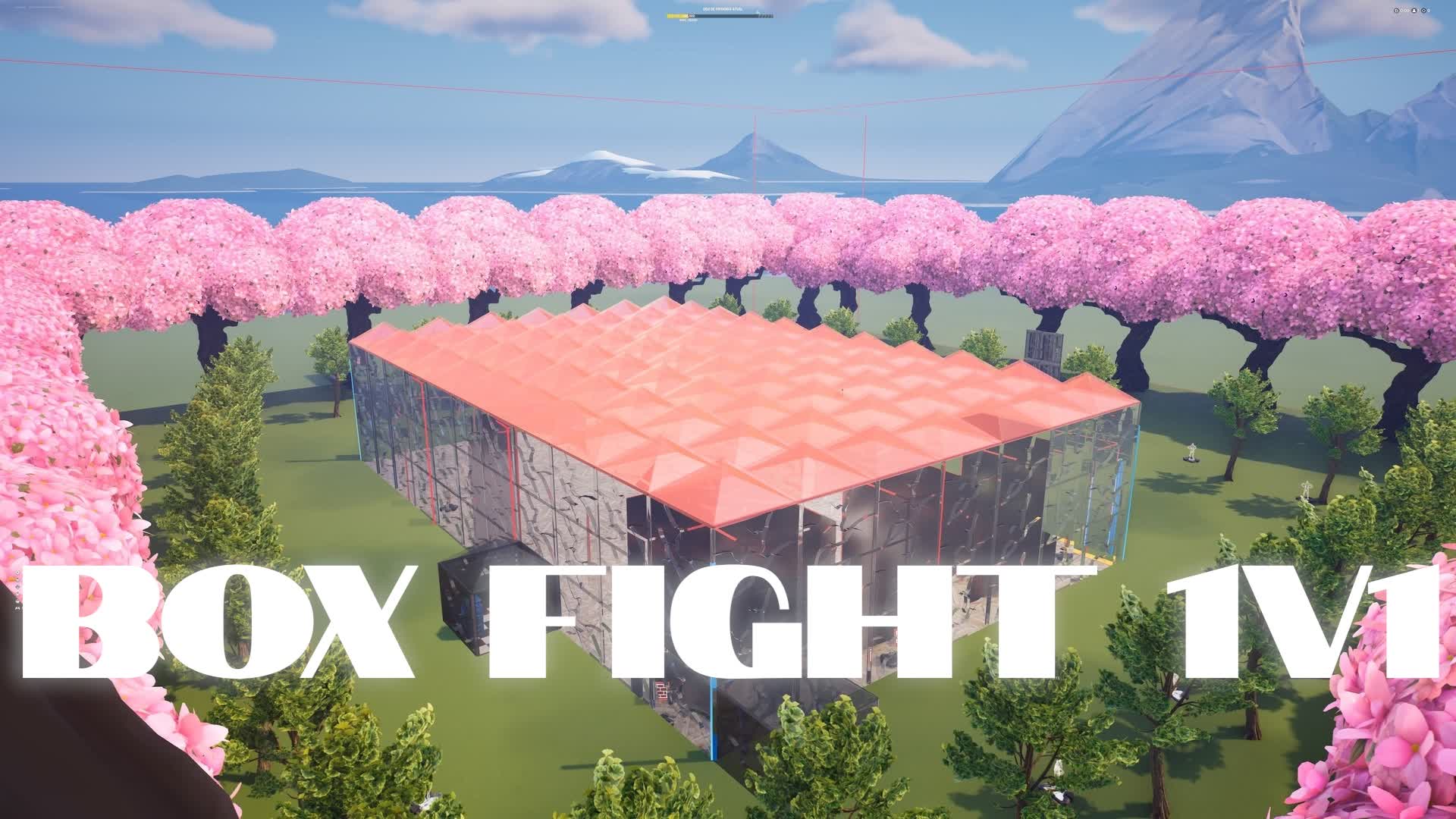 Box fight DS