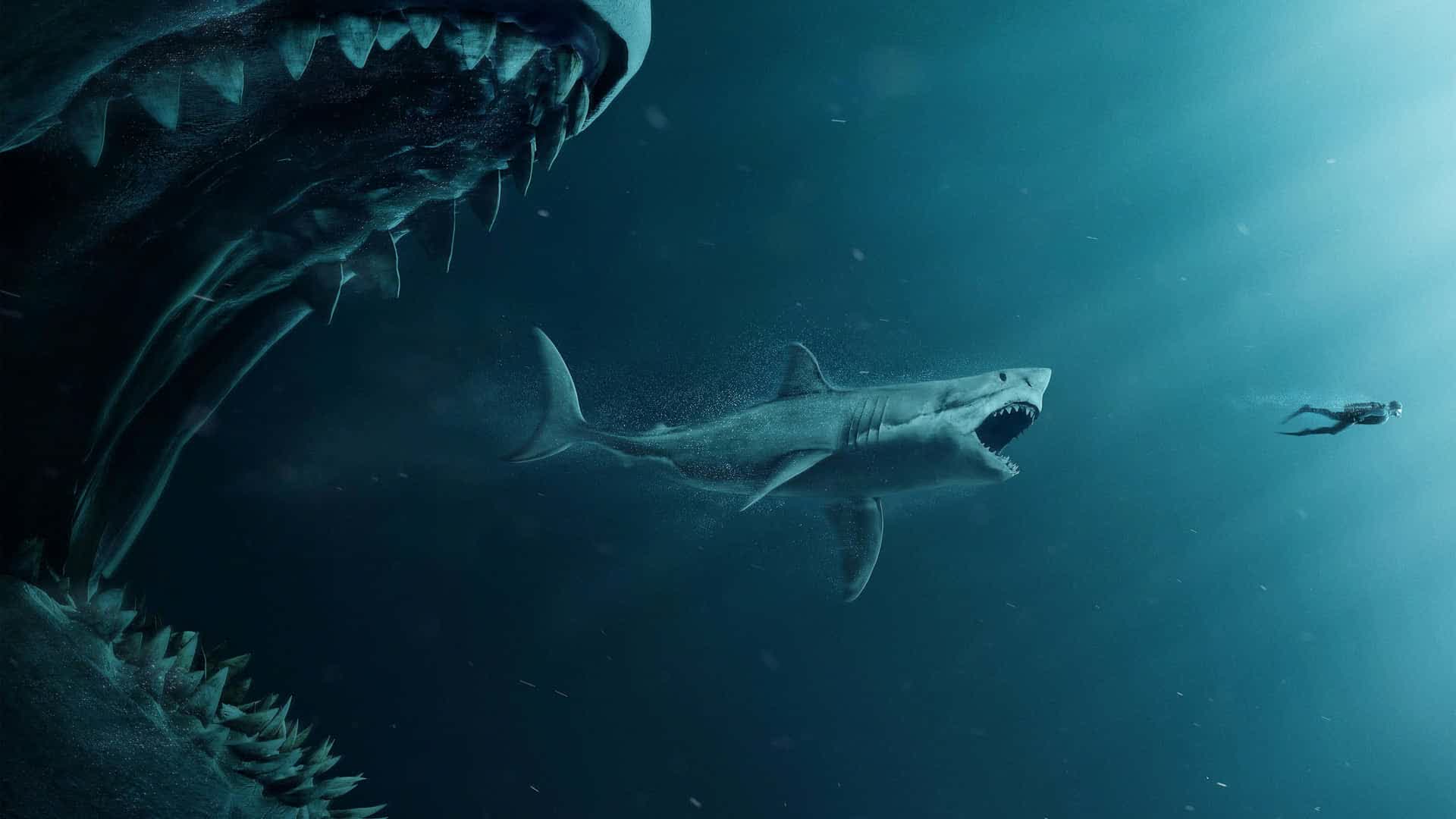 SHARKTEAM1v1