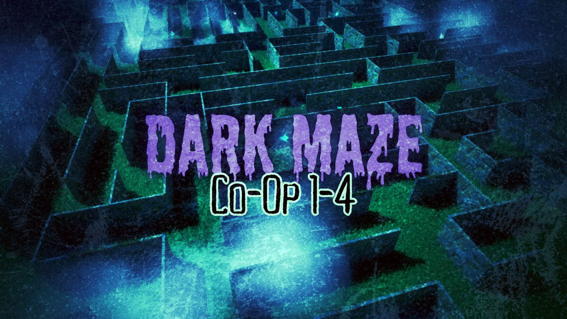 Dark Maze Co-Op 1-4