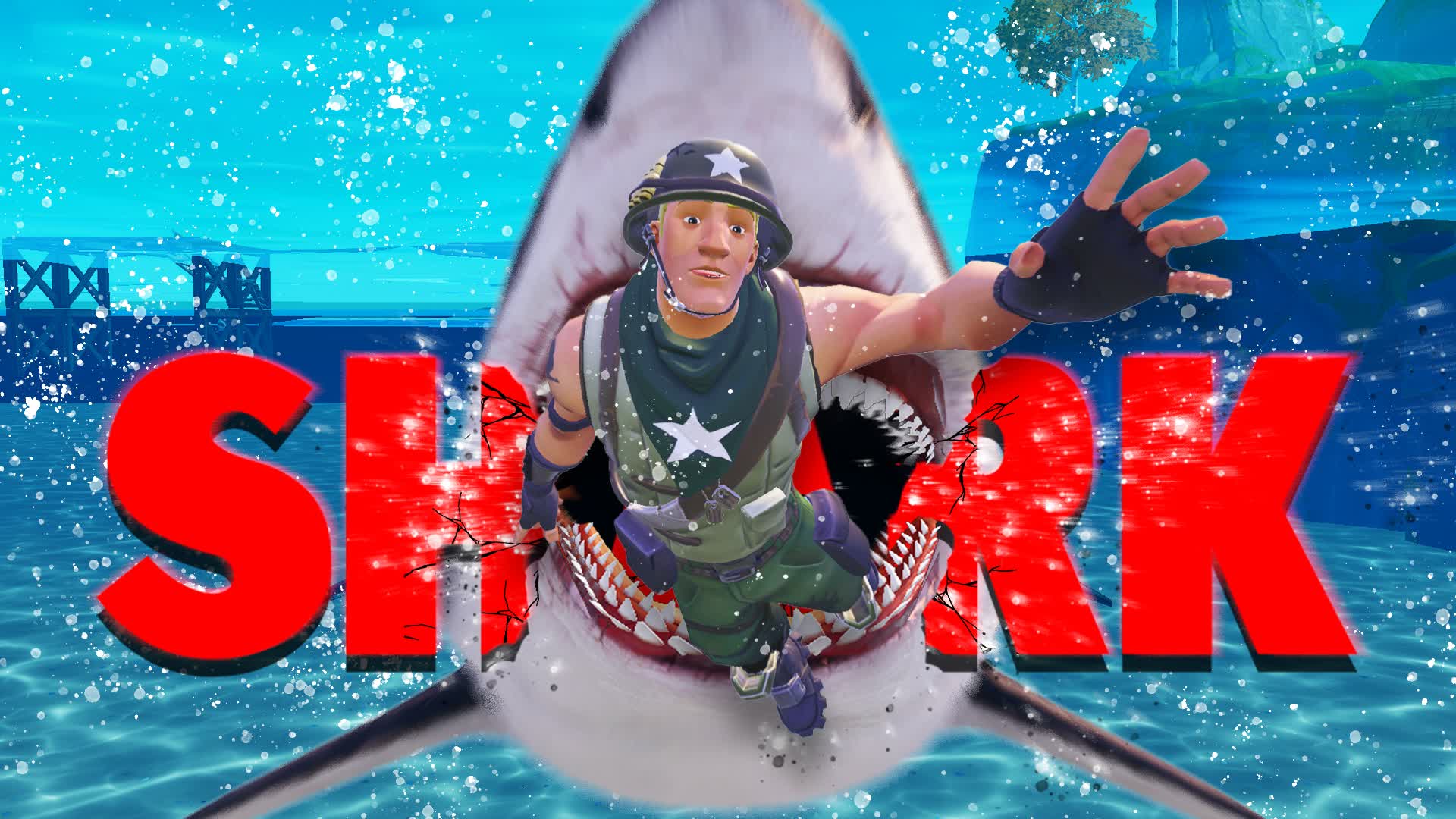SHARK ISLAND🦈