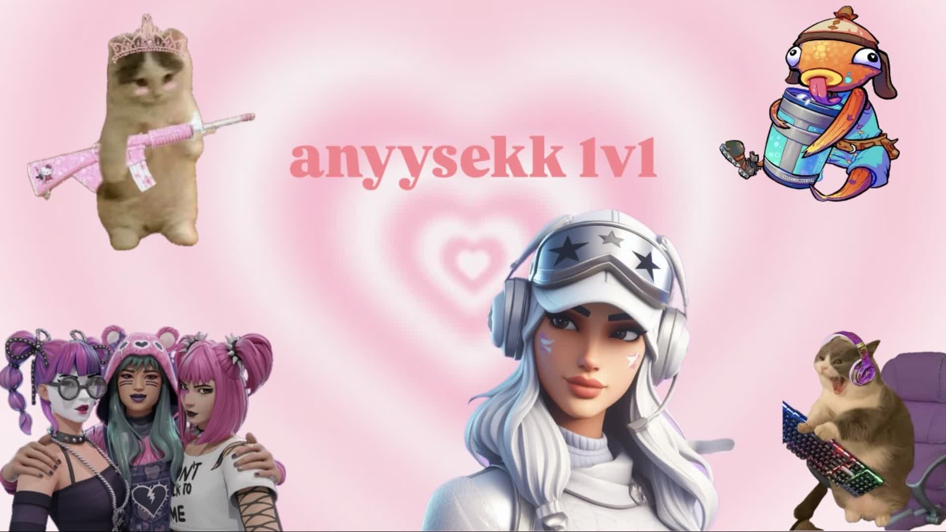 anyysekk 1v1